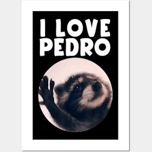 Funny I Love Pedro Dance Raccoon Meme Humorous Memes Posters and Art